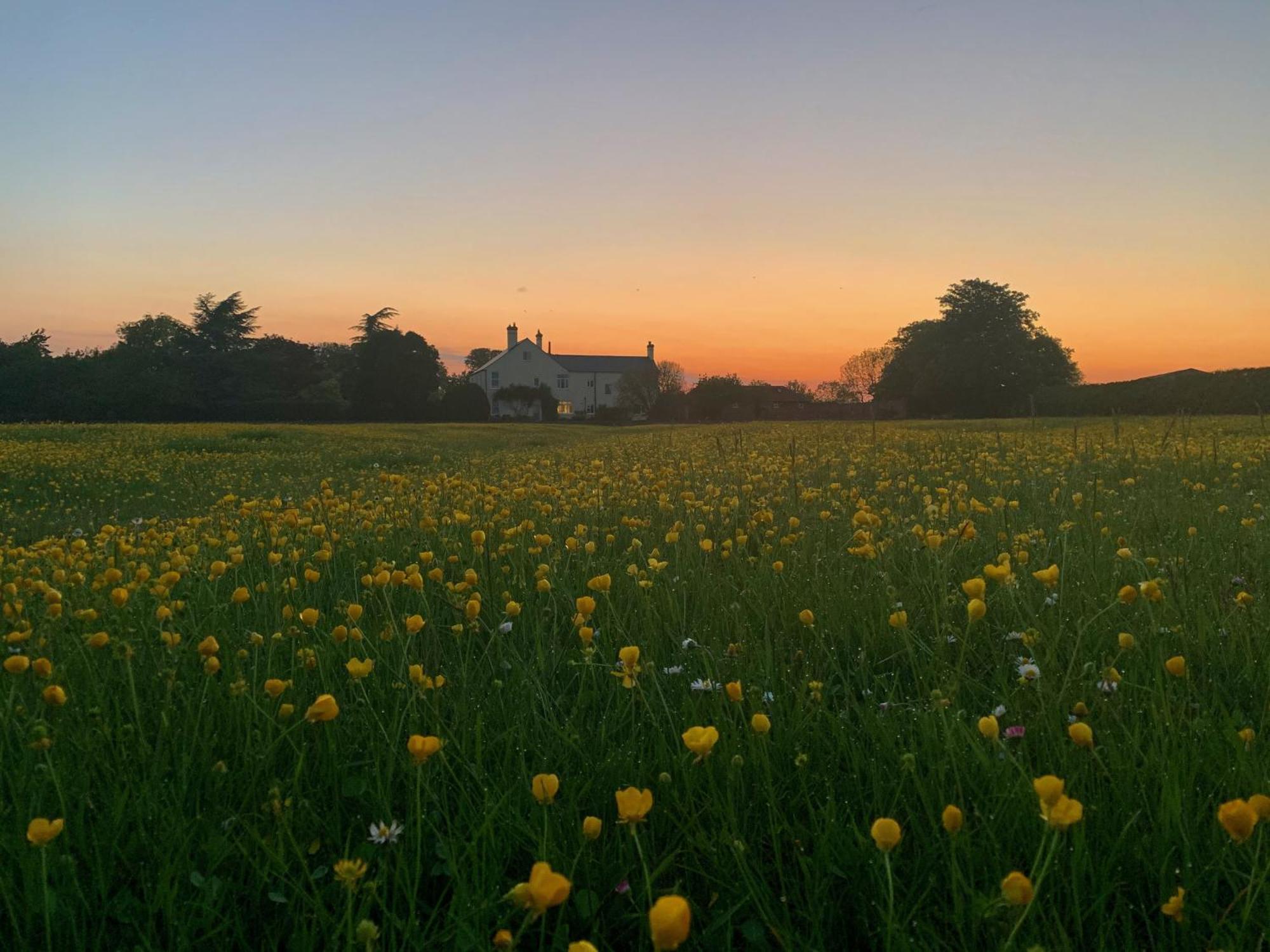 The Chestnuts Country House Boutique B&B Kilvington Exteriör bild